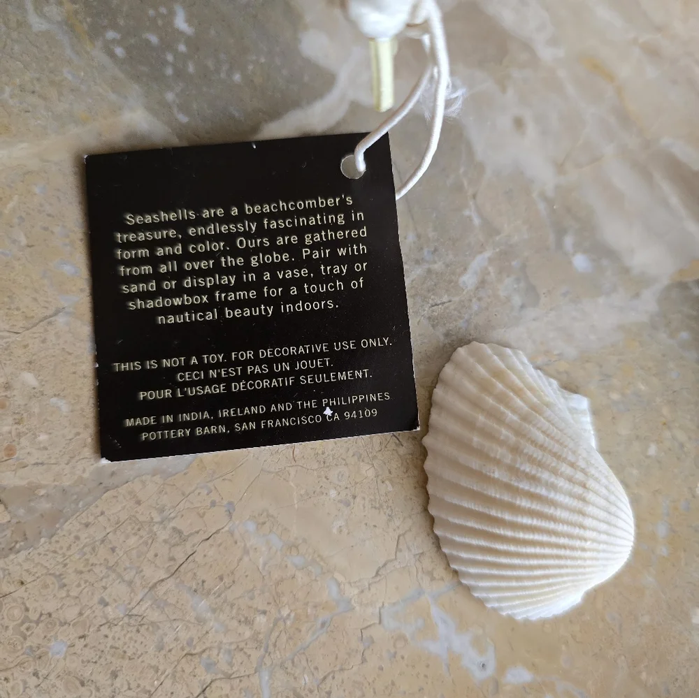 Pottery Barn Mixed White Seashells